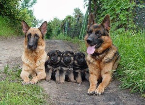 Coolest family photo ever