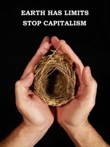 capitalism3