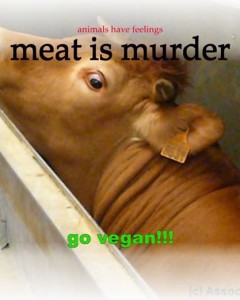 vegan4