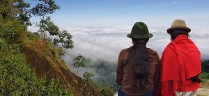 Volunteers in Ecuador plant 647,250 trees to break reforestation record