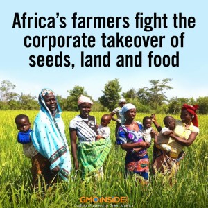 Farmers are rising up in Ghana where a new 'Monsanto law' threatens to end their right to grow, save and share their ancestral seeds