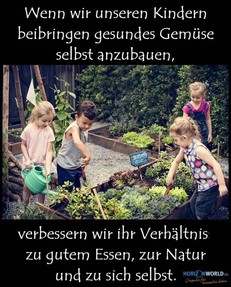 Download Montessori zitate kinderaugen HD
